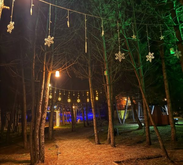 Çampınarı Doğaevleri