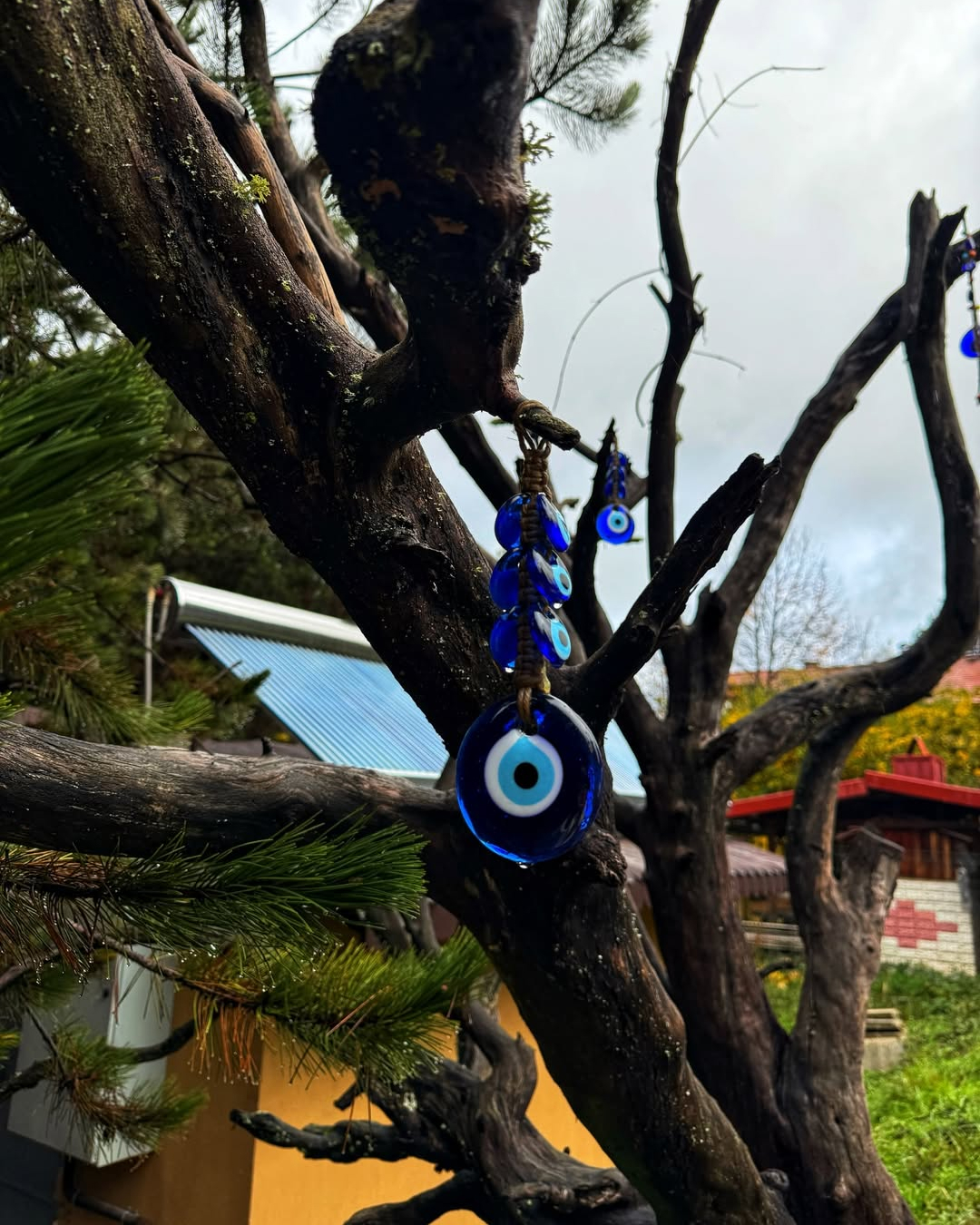 Cam Pınarı Doğa Evleri