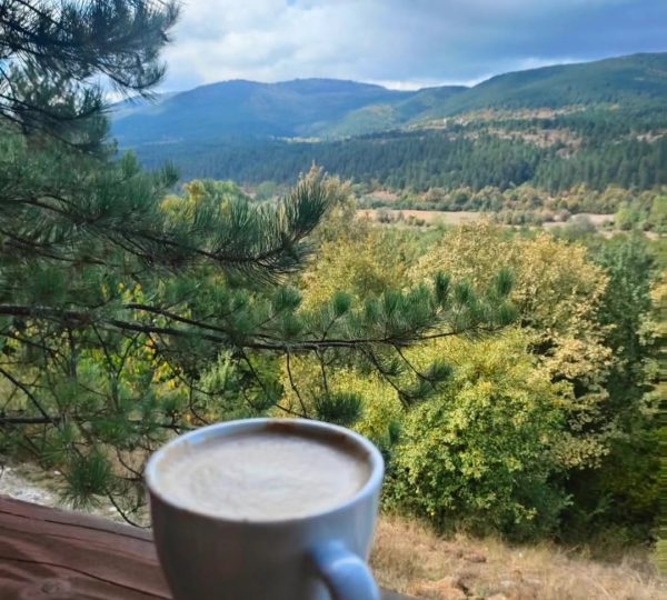 Çampınarı Doğaevleri