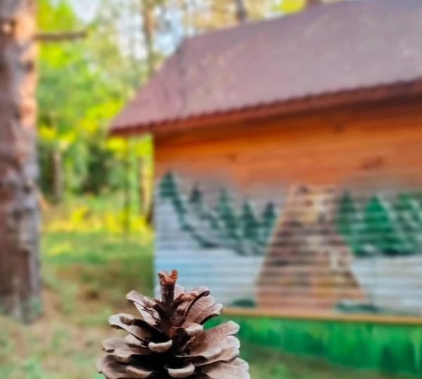 Çampınarı Doğaevleri